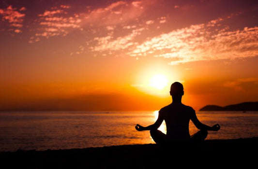 The Science of Meditation: From Basic Techniques to Advanced Insights (Part 2)